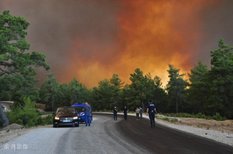 土耳其安塔利亚森林大火仍在持续